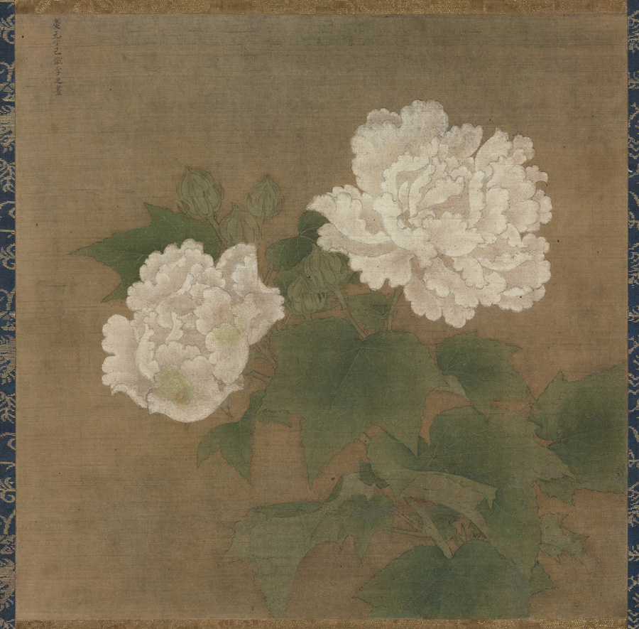 Li Di: White Cotton Rose