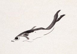 Zhang Daqian: The Joy of Fish