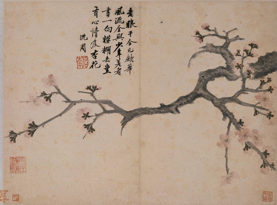 Shen Zhou: Apricot Blossom