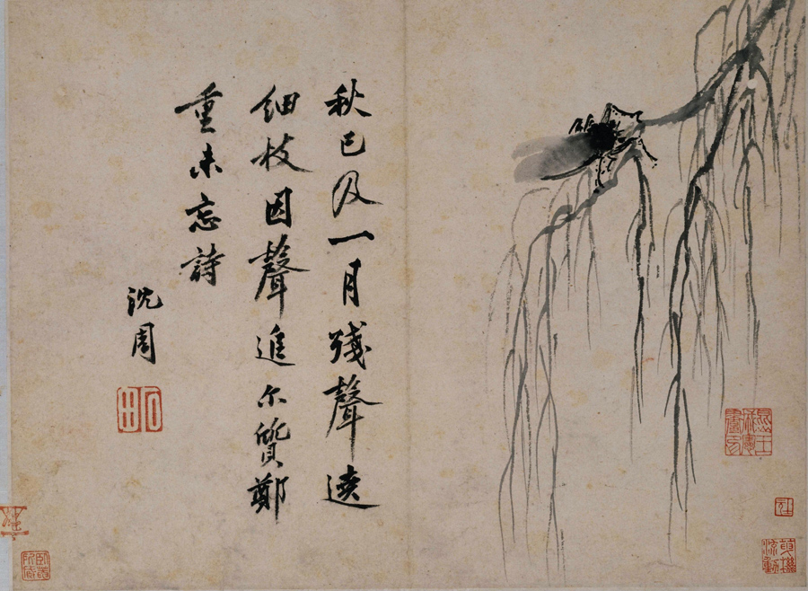 Shen Zhou: A Crying Cicada on an Autumn Willow