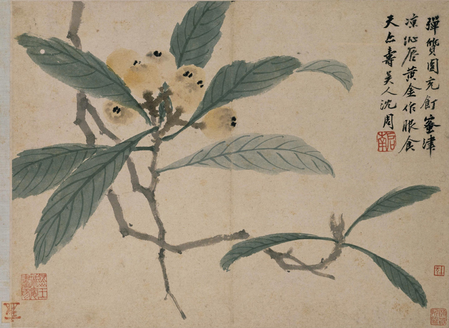 Shen Zhou: Loquat