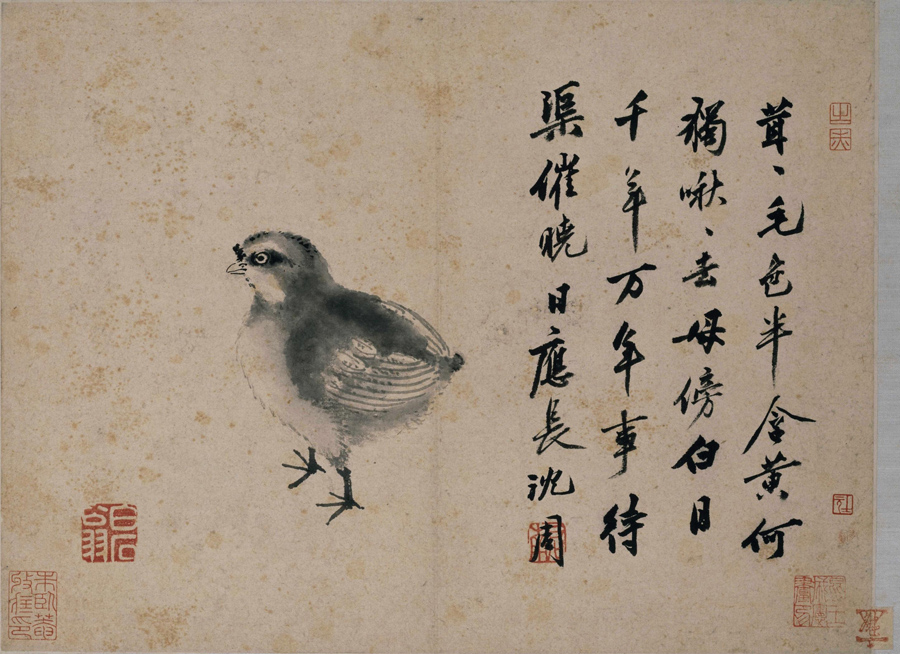 Shen Zhou: Chick