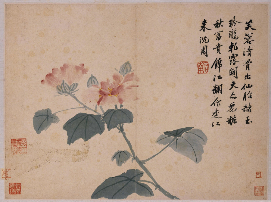 Shen Zhou: Cottonrose
