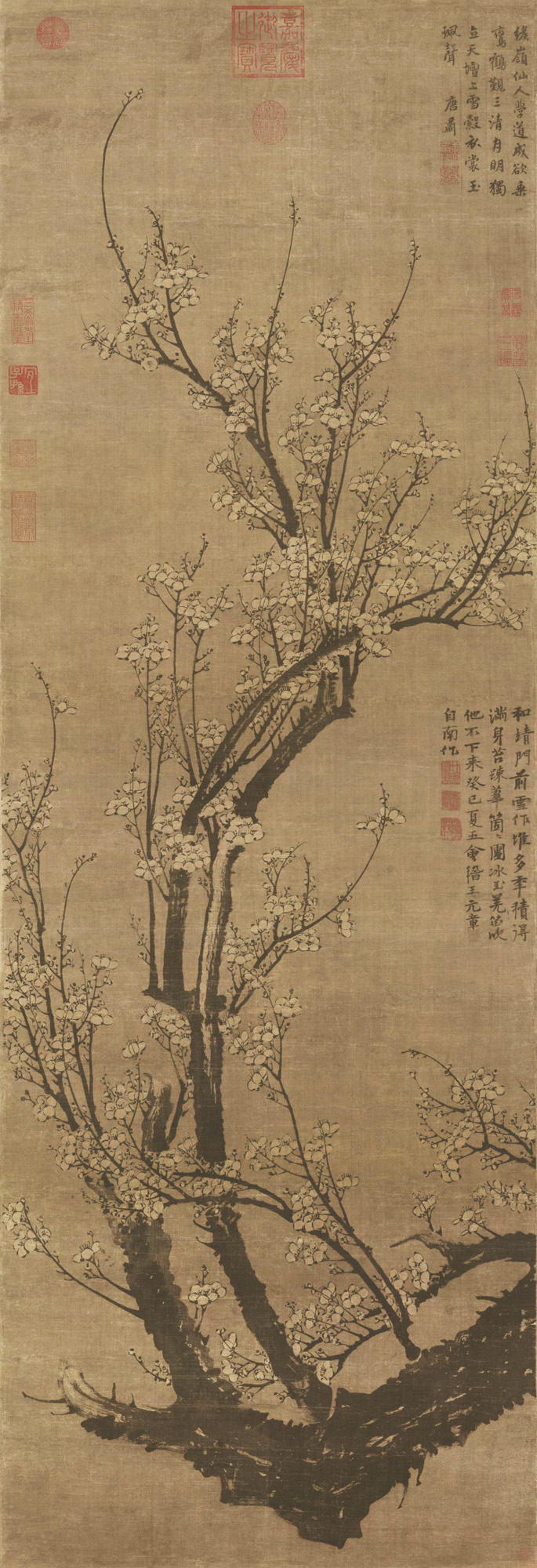 Wang Mian: Plum Blossom